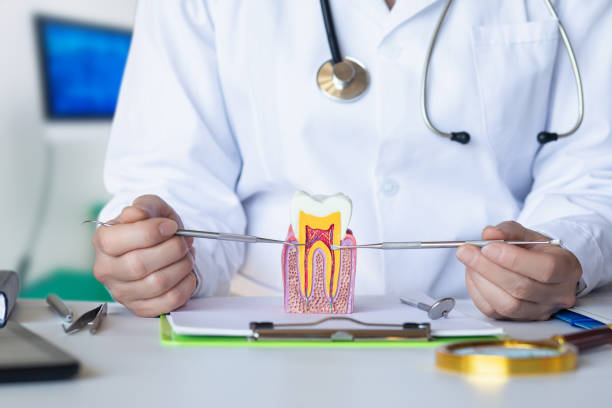 Best Dentist for Tooth Abscess  in Moraine, OH